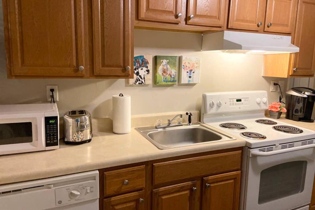 Darling Cottage In University Park Raleigh Extérieur photo